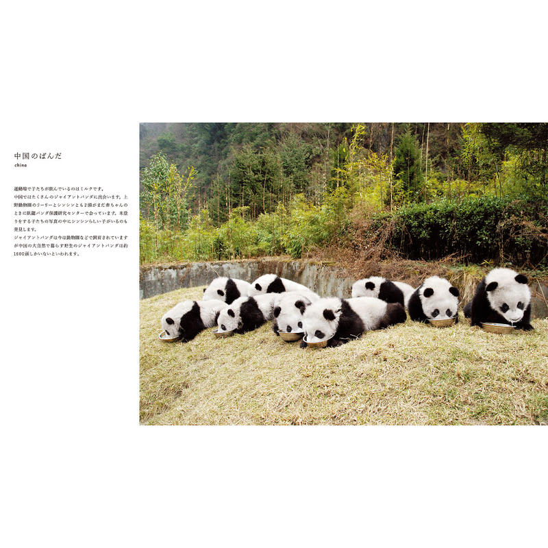 岩合光昭 写真集 ぱんだ Crevis Online Store 岩合光昭 写真集 ぱんだ Crevis Online Store