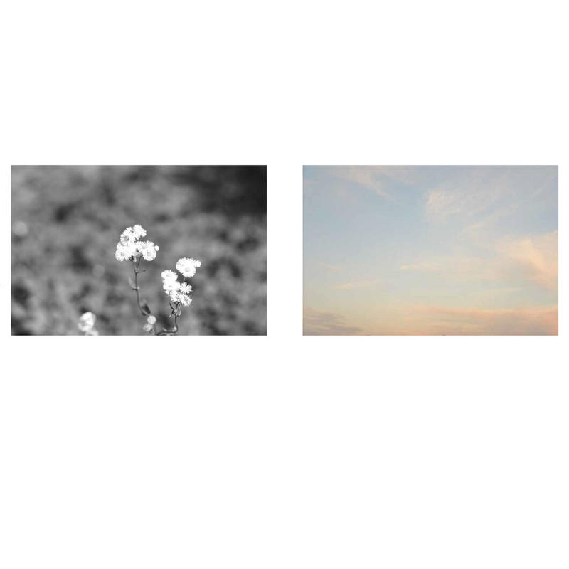 有安杏果】写真集『ヒカリの声』 | Crevis Online Store
