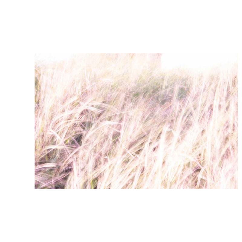 有安杏果】写真集『ヒカリの声』 | Crevis Online Store