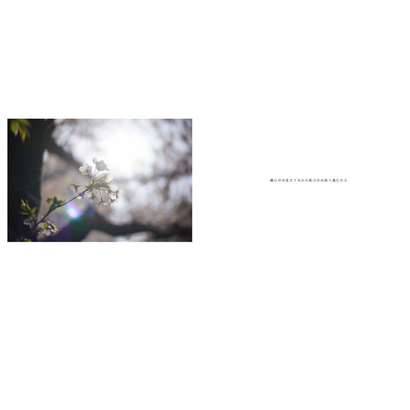 有安杏果】写真集『ヒカリの声』 | Crevis Online Store