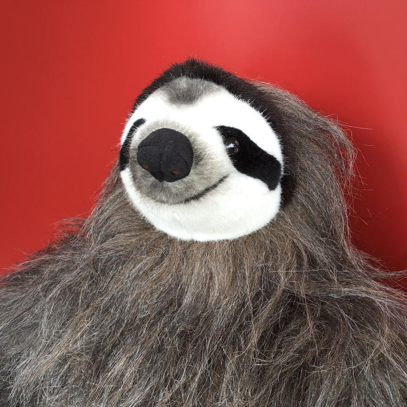 なまけもの Kimamaya