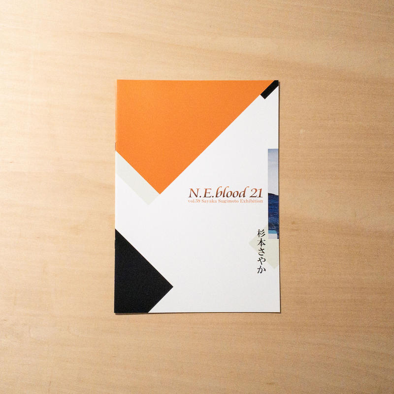 N E Blood 21 Vol 59 杉本さやか展 リアス アーク美術館 Cyg Art