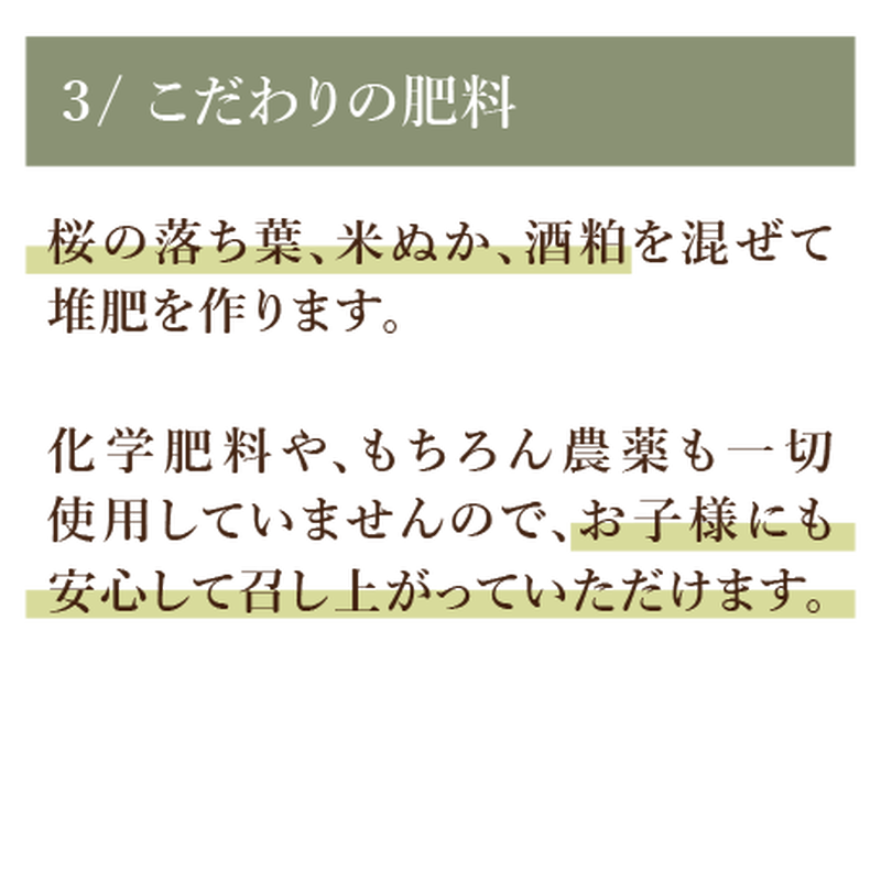 訳あり格安 濃厚で美味しい こだわりオーガニック農家のミニトマトセット1kg Dana