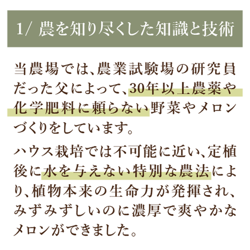 訳あり格安 濃厚で美味しい こだわりオーガニック農家のミニトマトセット1kg Dana