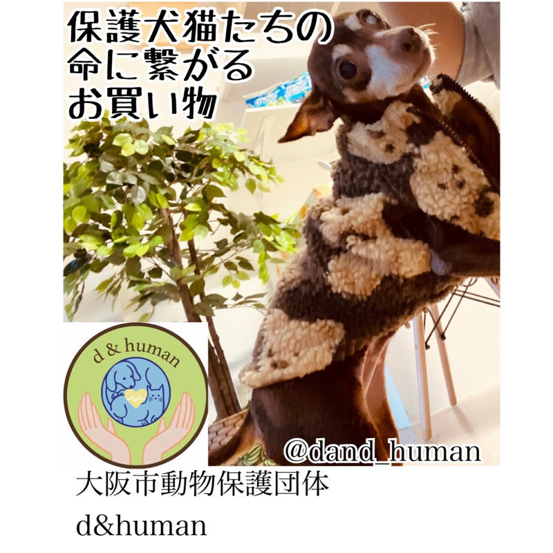 ヒルズサイエンスダイエット 大型犬用 シニア 6歳以上 高齢犬用 チキン 12kg D H