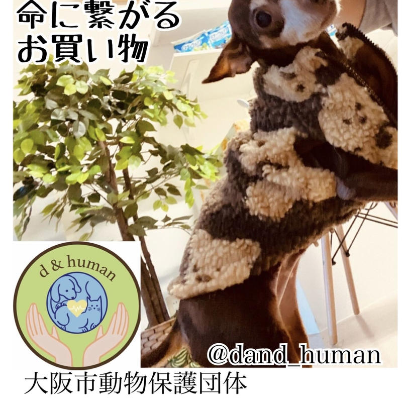 ヒルズプリスクリプション ダイエット 特別療法食 C D 尿ケア 小粒 1kg D H