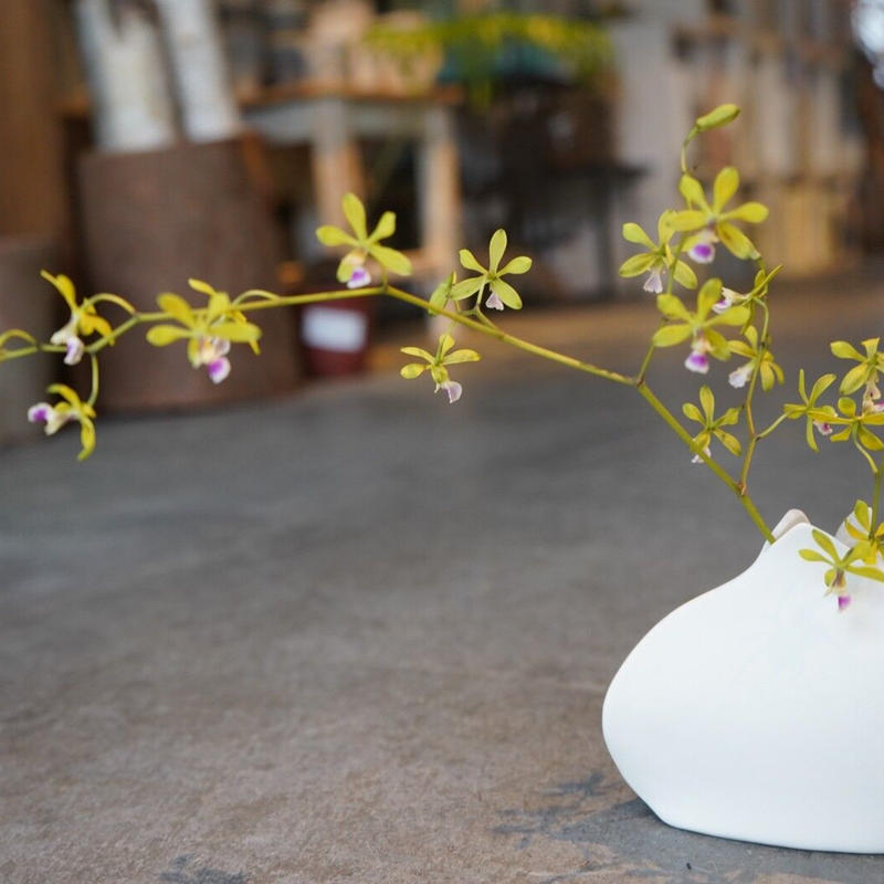 カーブ三角陶器ベース ホワイト Low フラワーベース 花器 花瓶 陶器 インテリア オシャレ カーブ三角陶器ベース ホワイト Low フラワーベース 花器 花瓶 陶器 インテリア オシャレ