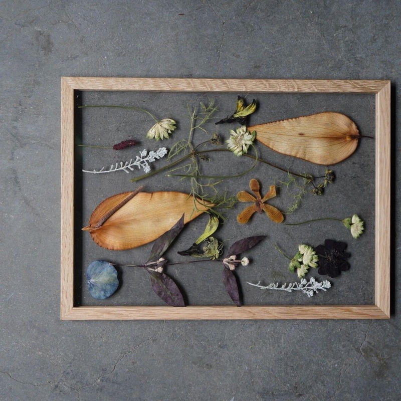 押し花 フレーム アンスリウム ラン アストランチア Iowergo