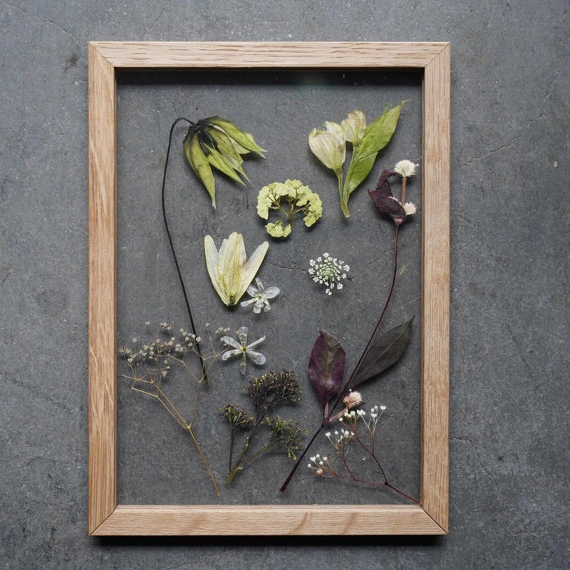 押し花 フレーム グロリオサ クリスマスローズ レースフラワー Iowergo