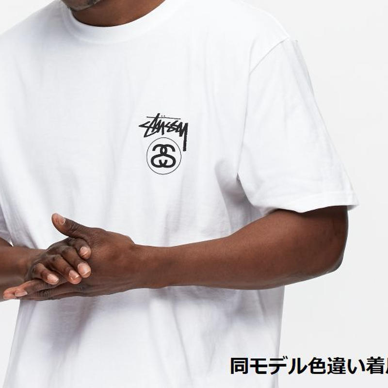 Stussy ステューシー 人気ロゴ Stock Ss Link ストック Ssリンク 半袖