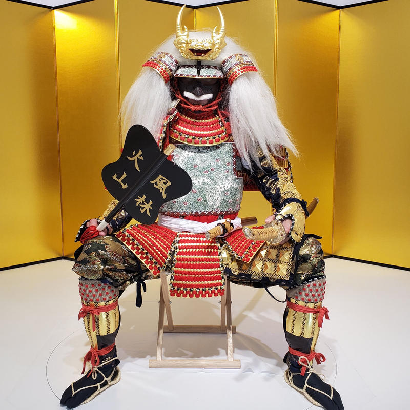 L1 010 武田信玄 本格レンタル 甲冑工房丸武