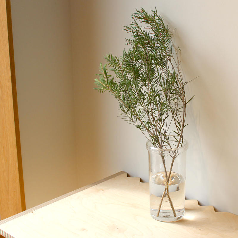 STUDIO PREPA 植木鉢 | aventueras.ch
