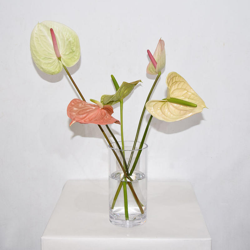 3 000 Anthurium Bouquet Diligence Parlour
