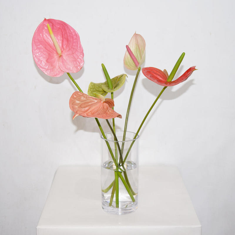 3 000 Anthurium Bouquet Diligence Parlour