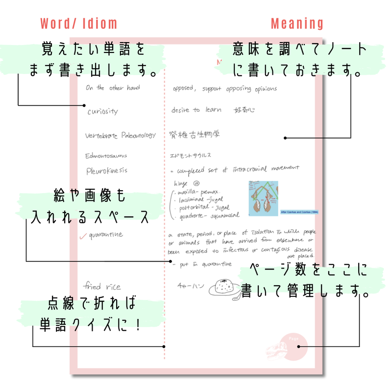 単語ノート ピンク タブレット用 D I N O V A T I O N