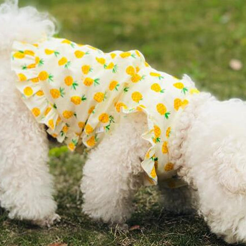 ワンピース パイナップル 花柄 ２種類 袖なし ドッグウェア 犬服 Dogmerch