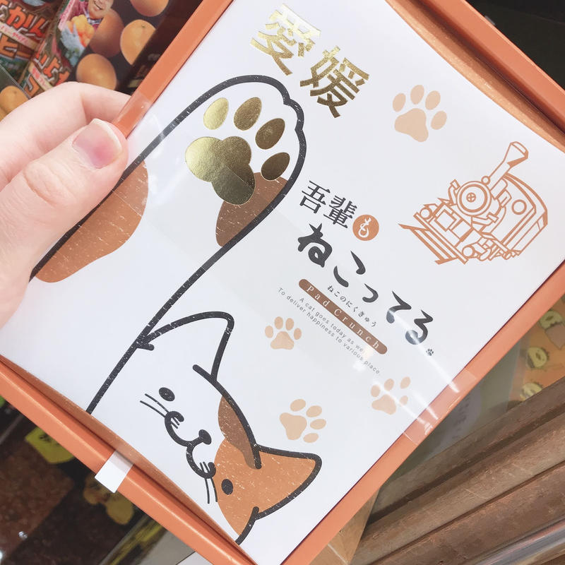 ねこってる 肉球型チョコレート 道後お土産センター 絣屋本店 絣屋支店