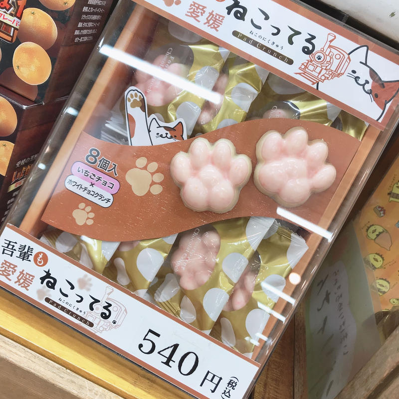 ねこってる 肉球型チョコレート 道後お土産センター 絣屋本店 絣屋支店