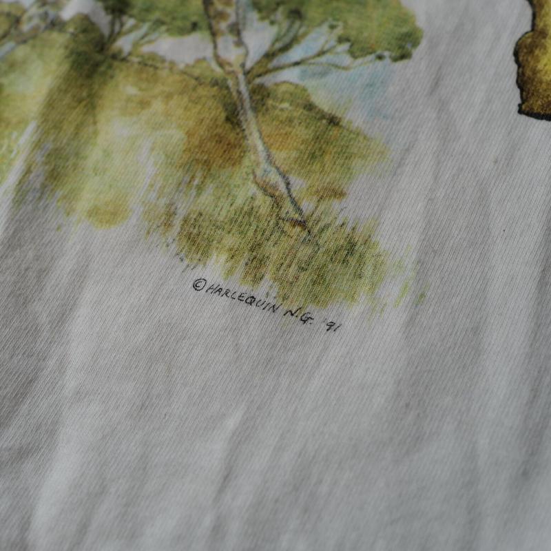 贅沢品 90s HARLEQUIN N.G USA製 絵画 Tシャツ アート XL