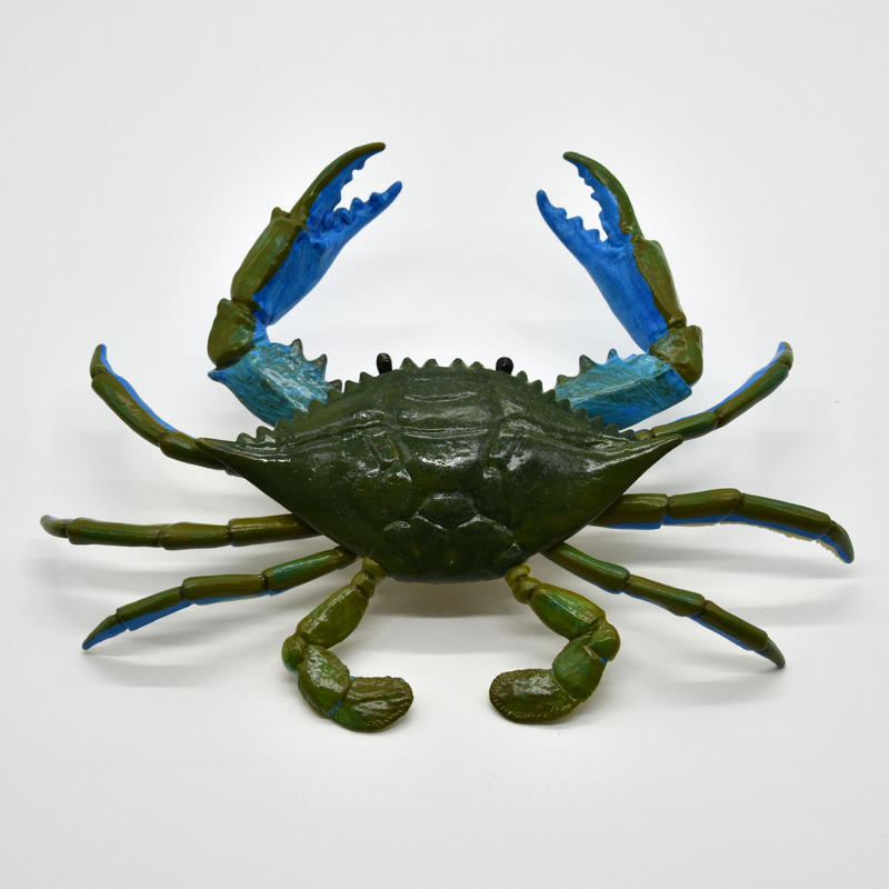 ブルースイミングクラブ フィギュア エビとカニの水族館 公式通販