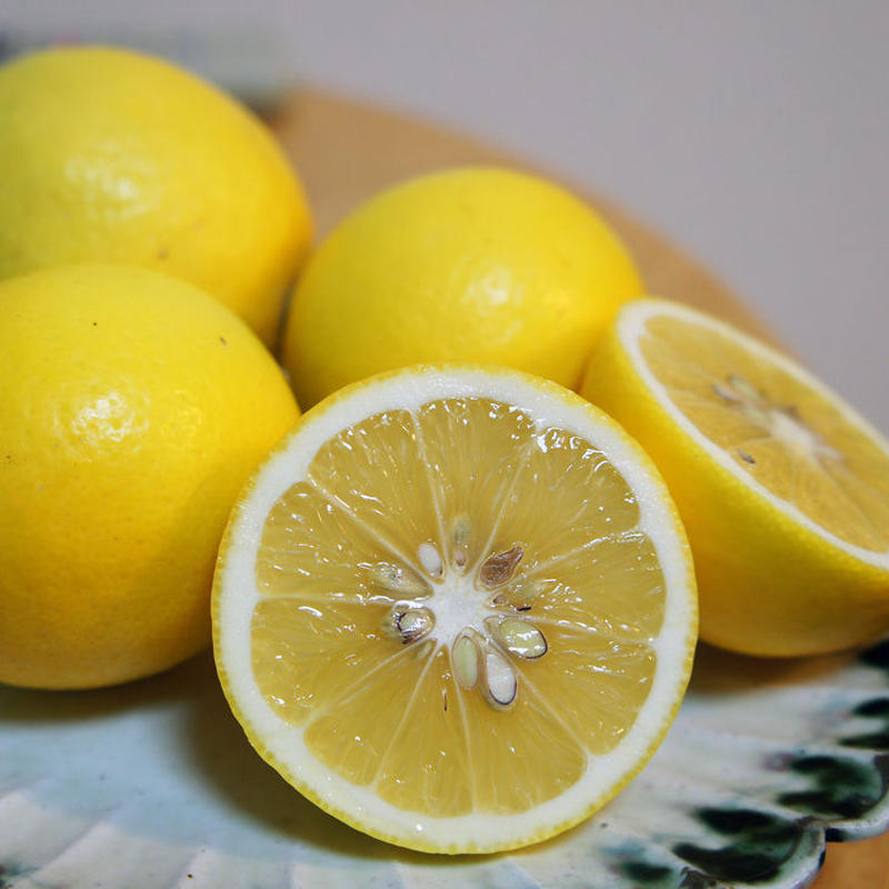 九州産グランドレモン 2kg エコバイ