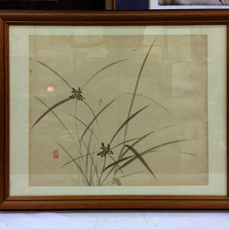 国内外の人気が集結 朱印 栖鳳 草花図 日本画 - 美術品/アンティーク 国内外の人気が集結 朱印 栖鳳 草花図 日本画 - 美術品/アンティーク