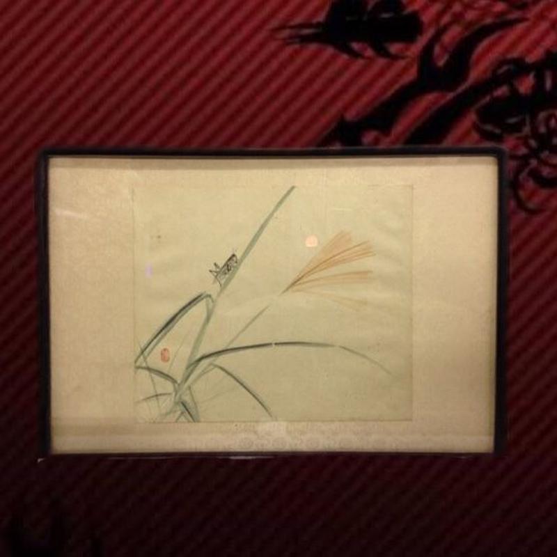 日本画◾️朱印 栖鳳 『秋草花図』額装仕立て 57×40 | 美術品専門店 日本画◾️朱印 栖鳳 『秋草花図』額装仕立て 57×40 | 美術品専門店