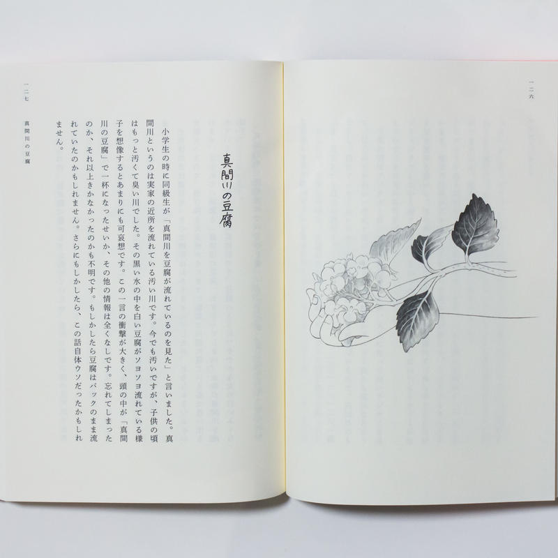 新版 近藤聡乃エッセイ集 不思議というには地味な話 ナナロク社の店