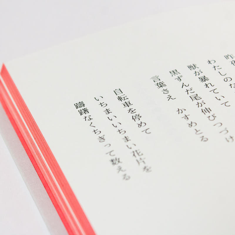 どこにでもあるケーキ 三角みづ紀 ナナロク社の店 どこにでもあるケーキ 三角みづ紀 ナナロク社の店
