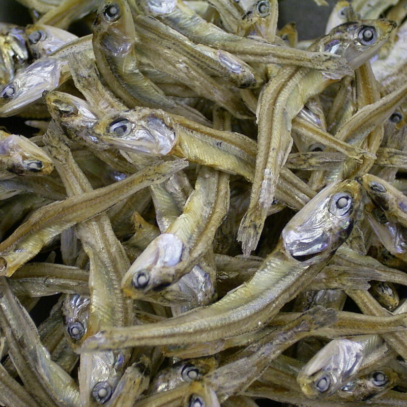食べる煮干 どっさり１ｋｇ 国産かたくち鰯雑魚 いりこサイズ おつまみフィッシュ 小魚おやつ