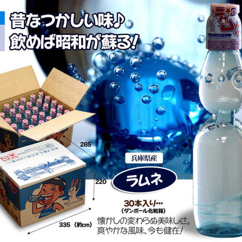 送料無料 ラムネ 飲料 ペットラムネ 炭酸 ペットボトル 230ml 30本入り 天竺屋徳