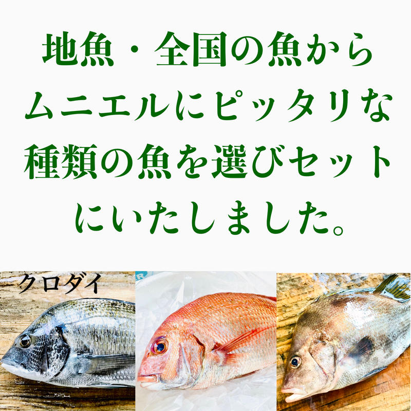 ムニエルにぴったり 大きめ骨なし切身魚 レシピ付き 2切入 2p Esperanc