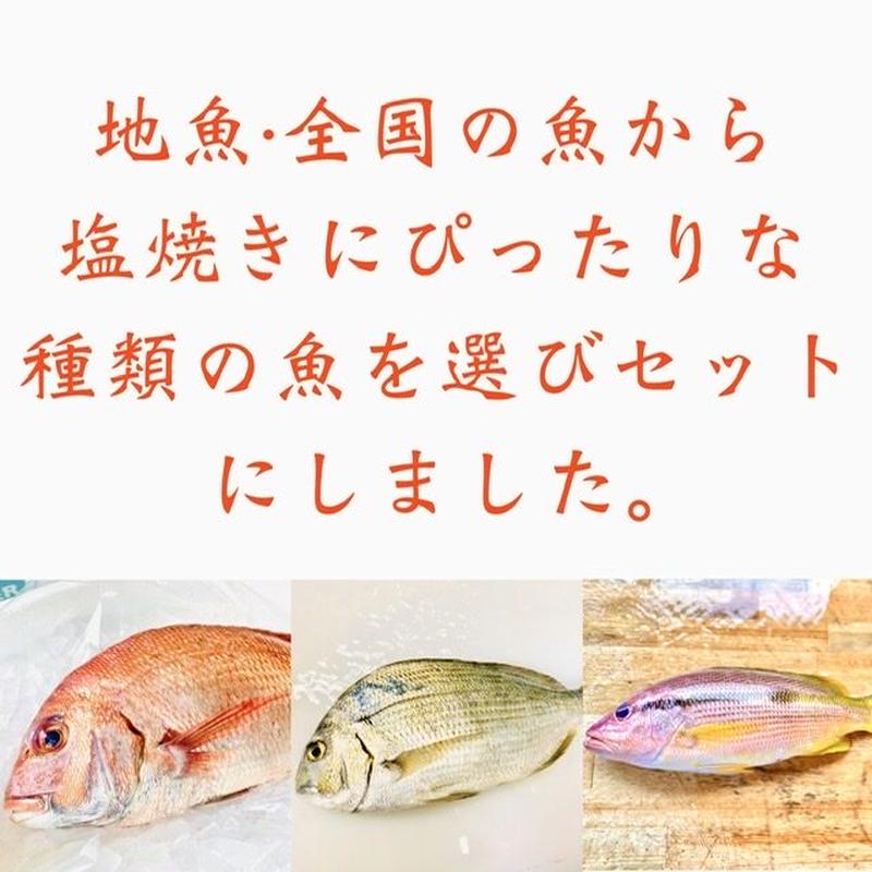 塩焼きにぴったり 大きめ骨なし切身魚 レシピ付き 2切入 2p Esperance