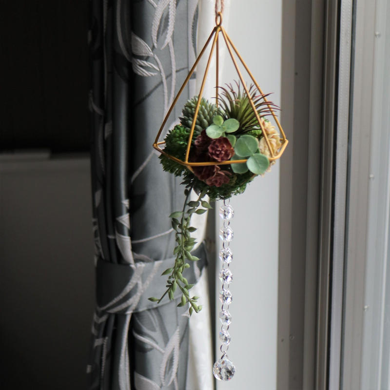 多肉植物とエアプランツのテラリウム サンキャッチャー Etoile Irisee