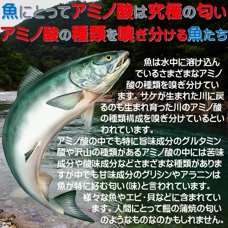つけエサ用 集魚剤 アミノ酸 旨味成分 アラニン パウダー 30g イワシ オキアミ サバ イ