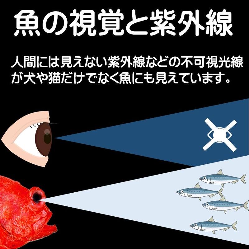 マダラ 仕掛け 真鱈 仕掛け 用 ケイムラ 紫外線 蛍光 発光 フラッシャー 毛鉤 ムツ針 太