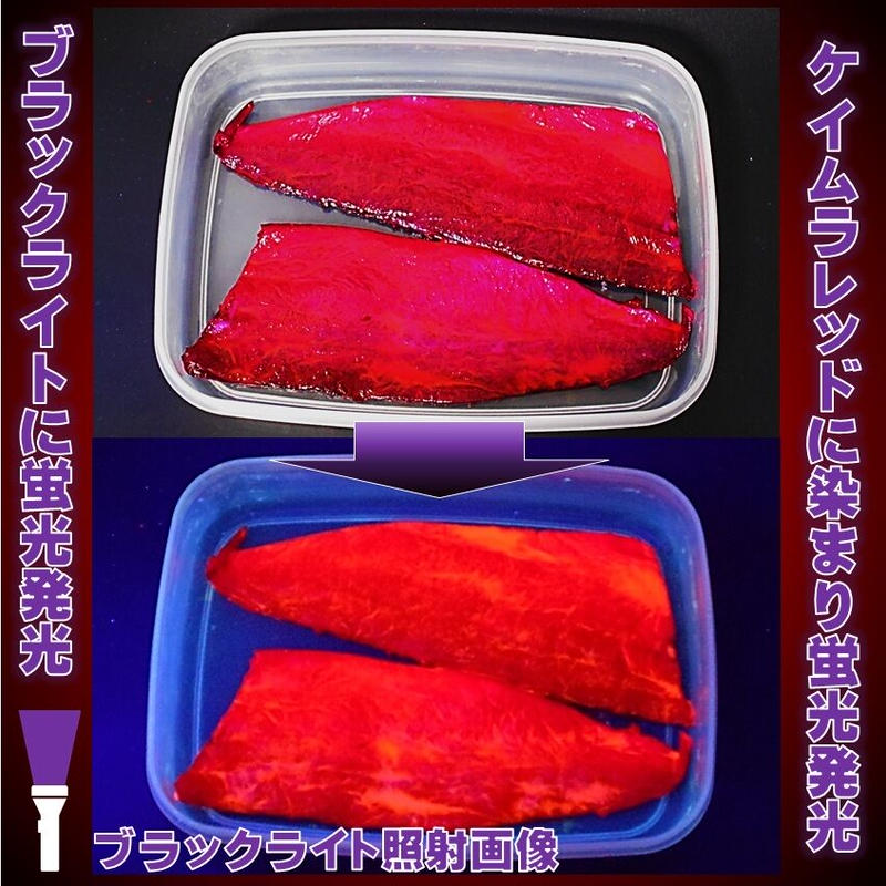699円 新発売 集魚剤 紫外線加工液 ケイムラブルー レッド オレンジ パープル ピンク 190ml 欲張り５色組 ケイムラ 液 紫外線 加工液 加工