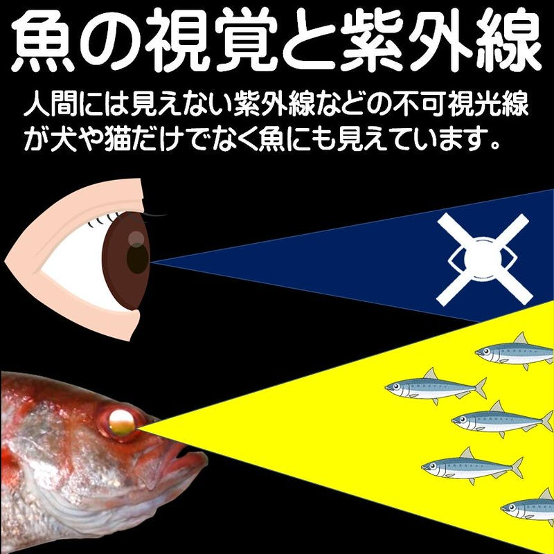 オニカサゴ 仕掛け カサゴ 巻きそが光る フラッシャーが光る 紫外線 ケイムラ パープル フラッシャー 吹き流し 天秤3本針 山下漁具店 注目の オニカサゴ 仕掛け カサゴ 巻きそが光る フラッシャーが光る 紫外線 ケイムラ パープル フラッシャー 吹き流し 天秤3本針 山下漁具店 注目の