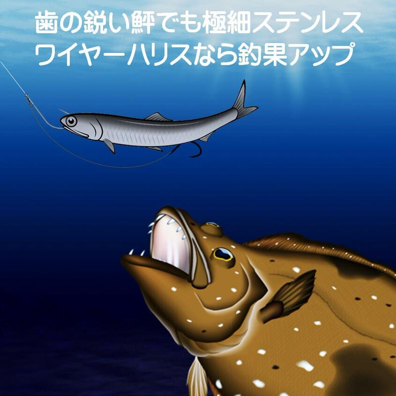 ヒラメ 仕掛け ヒラメ釣り 生餌釣り ハリス切れ対策 孫針 極細 直径 0 30cm ステンレ