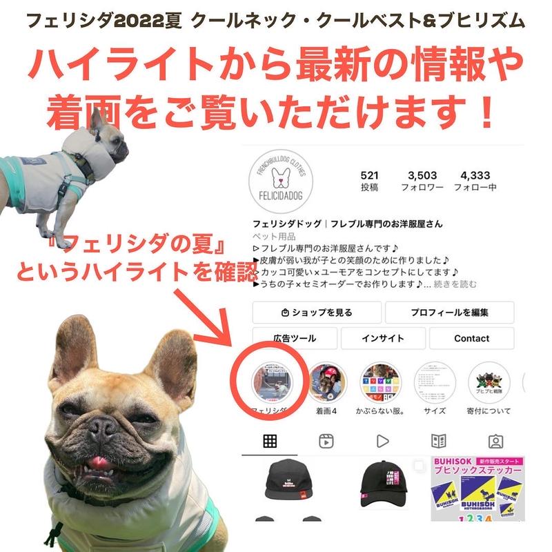 代引き不可 ブヒブヒ犬様専用ページ 着物 レディース30 割引 Www Ameublier Com