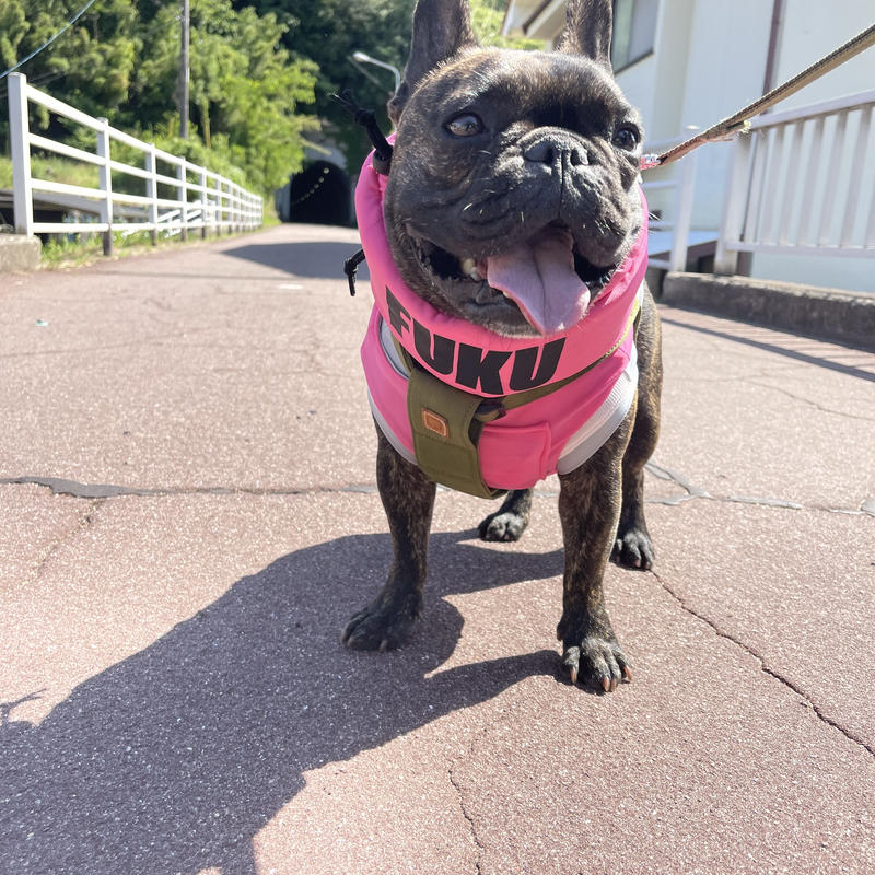 ブヒブヒ犬様専用ページ Tp Co Th