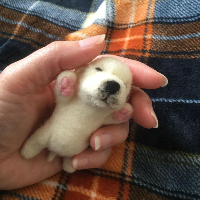 羊毛フェルト 寝てる子犬チャーム ラブラドールレトリバー Zoe