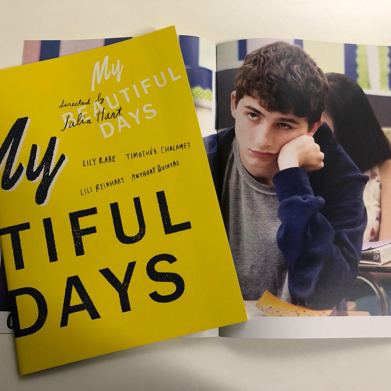 マイ ビューティフル デイズ パンフレット Fine Films S Store