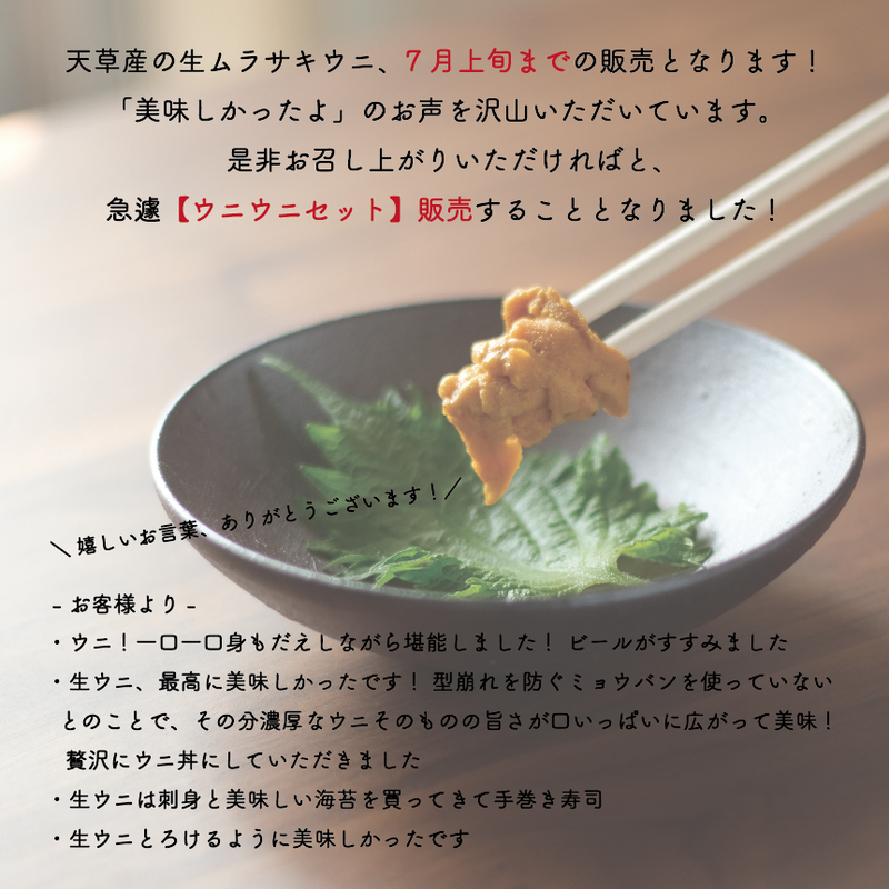 今期も販売 大好評の熊本牛深直送 ウニウニセット 生ウニ0g Yumeshoku