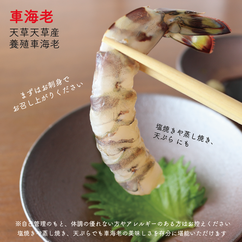 送料無料 熊本 天草産活のイイ 甘い車海老1kg 約40匹 Yumeshoku ユメショク