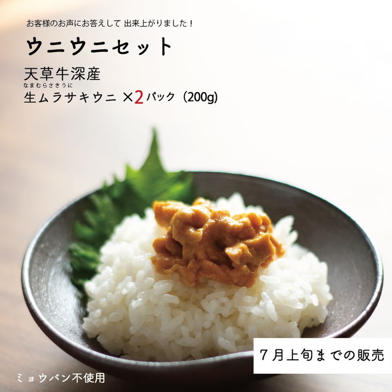 今期も販売 大好評の熊本牛深直送 ウニウニセット 生ウニ0g Yumeshoku