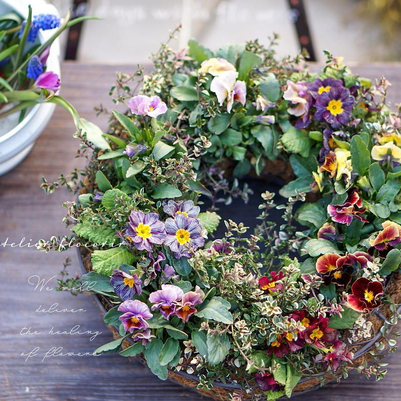 ふわふわ寄せ植えリース Florist Atelier Flocorir