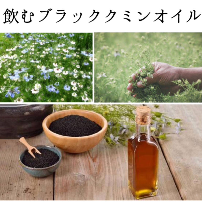 ブラッククミンシードオイル 500mg 60粒 Flora Labo ブラッククミンシードオイル 500mg 60粒 Flora Labo