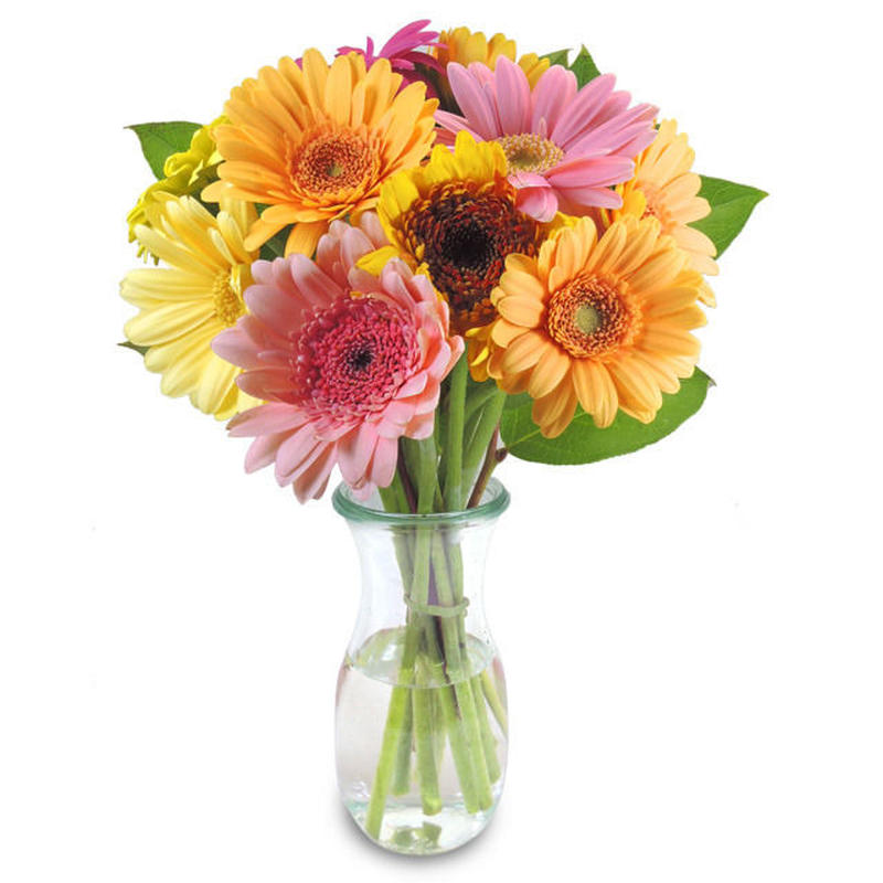 ガーベラ レモンリーフ Flours シンプルでかわいいデザインの花束を全国にお届け ガーベラ レモンリーフ Flours シンプルでかわいいデザインの花束を全国にお届け