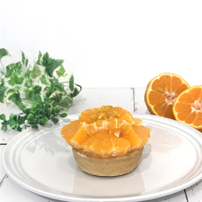 New商品 期間限定キッシュ パンジー ポンカン 花言葉 天真爛漫 Flower